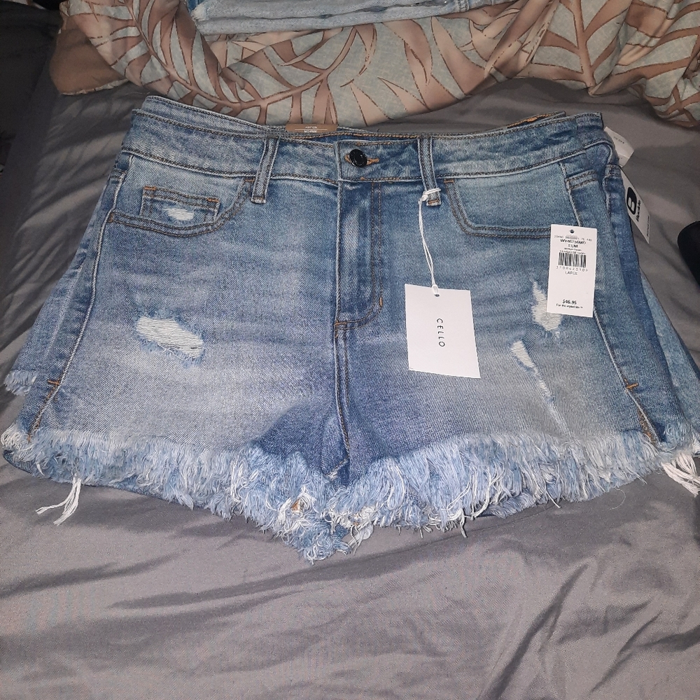 Cello shorts Size Large